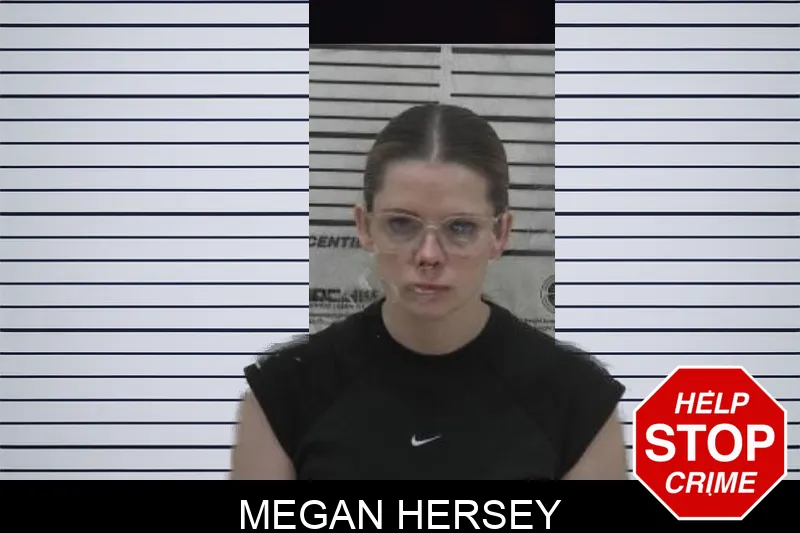 Megan Hersey mugshot