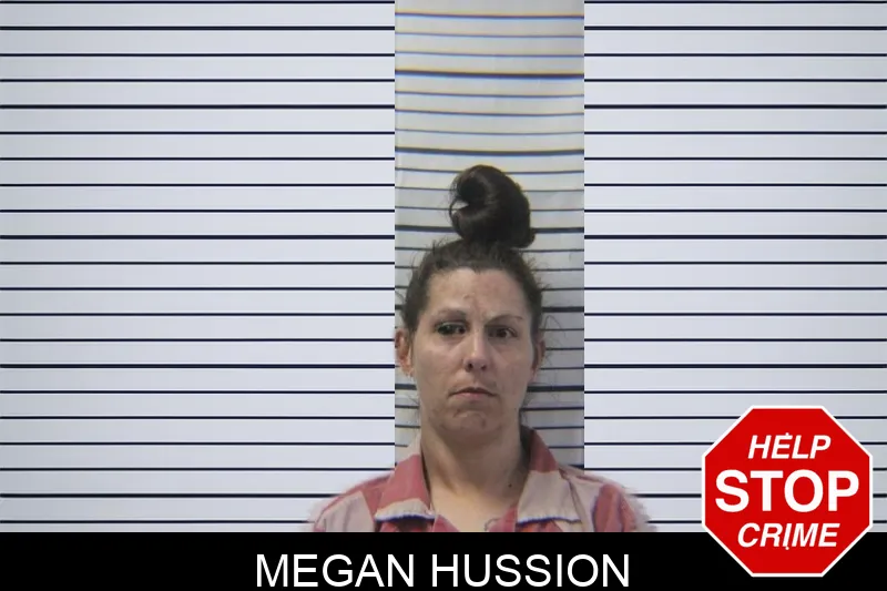Megan Hussion mugshot