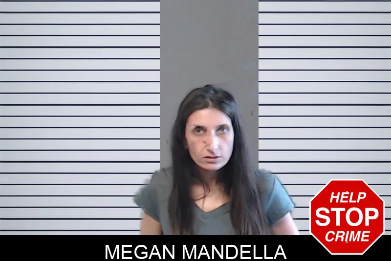 Megan Mandella mugshot