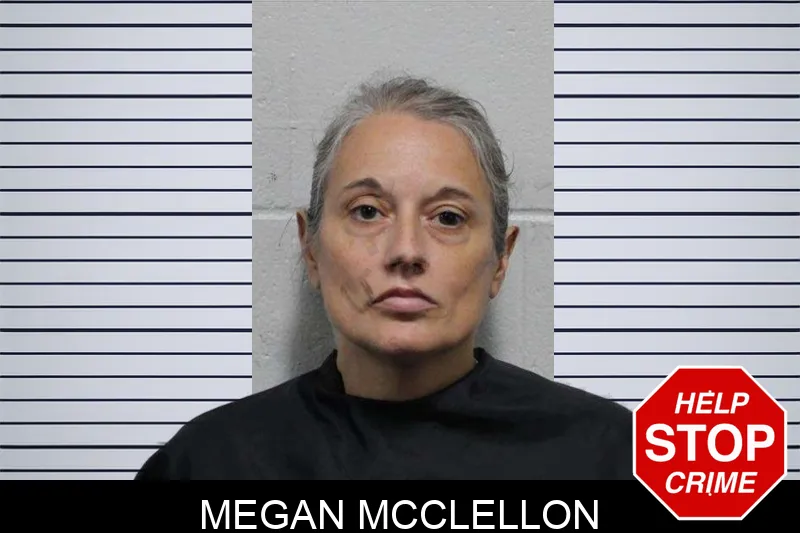 Megan McClellon mugshot