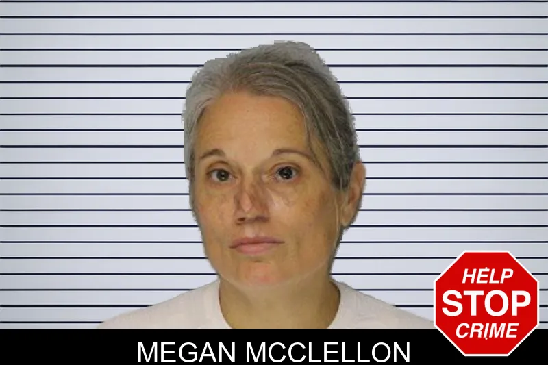 Megan McClellon mugshot