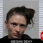 Megan Seay mugshot