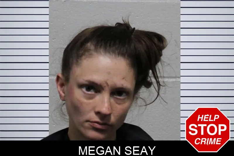 Megan Seay mugshot