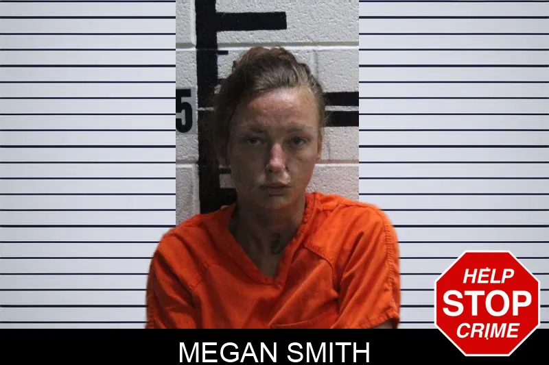Megan Smith mugshot