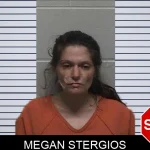 Megan Stergios mugshot