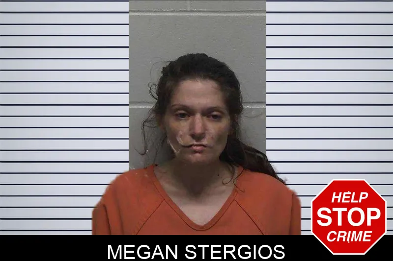 Megan Stergios mugshot