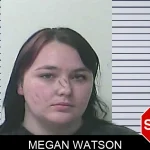 Megan Watson mugshot
