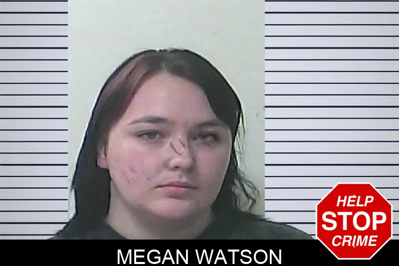 Megan Watson mugshot