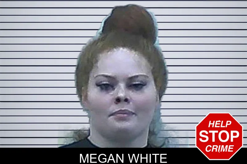 Megan White mugshot