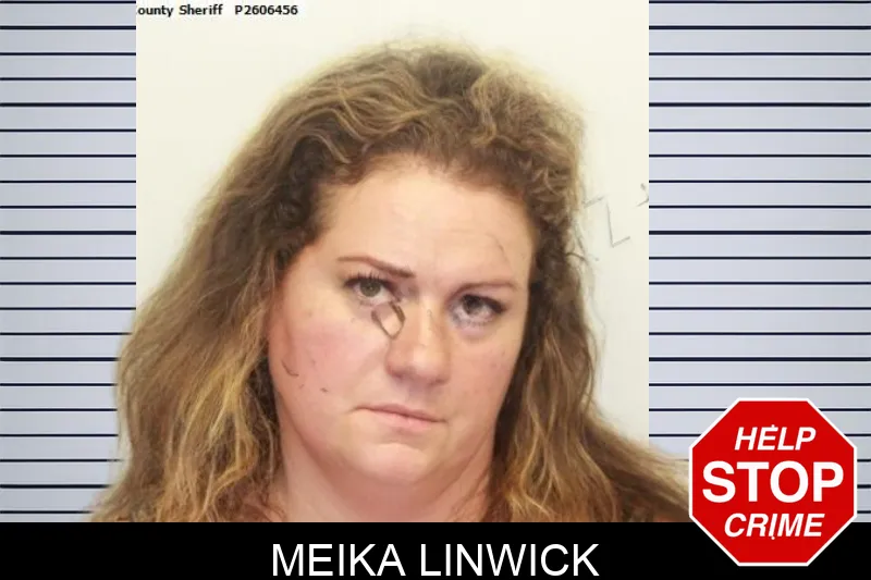 Meika Linwick mugshot