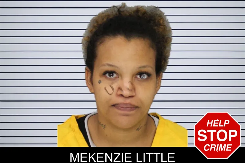 Mekenzie Little mugshot