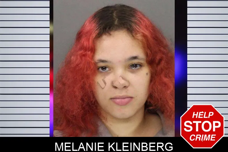 Melanie Kleinberg mugshot