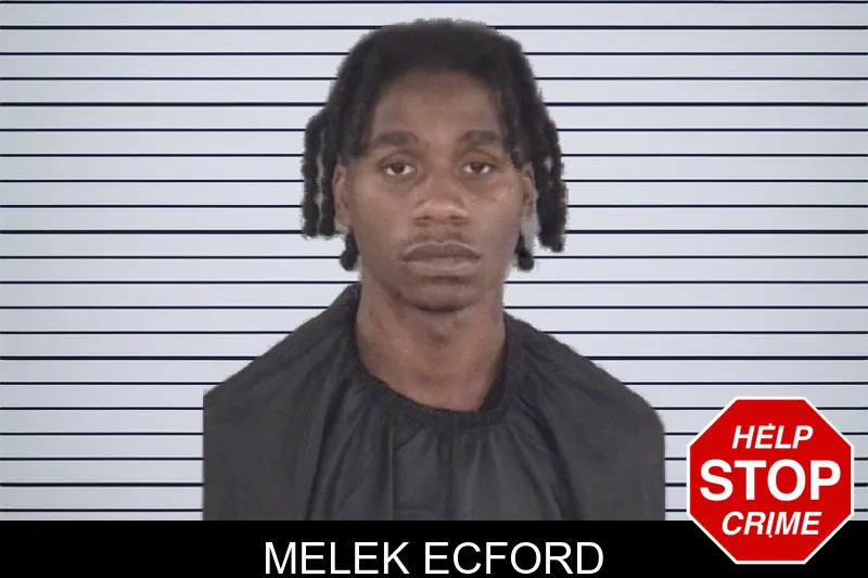 Melek Ecford mugshot