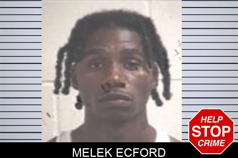 Melek Ecford mugshot