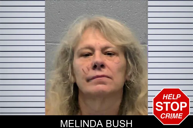 Melinda Bush mugshot