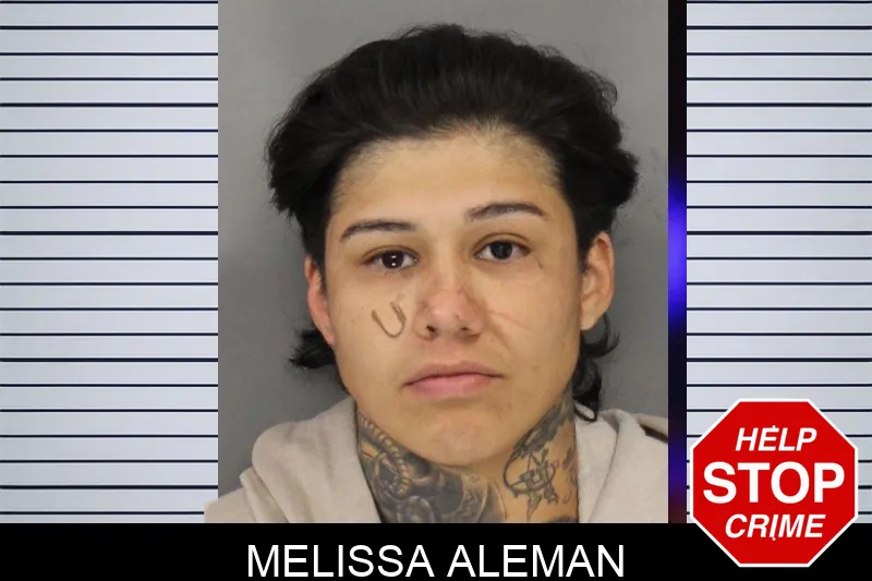 Melissa Aleman mugshot