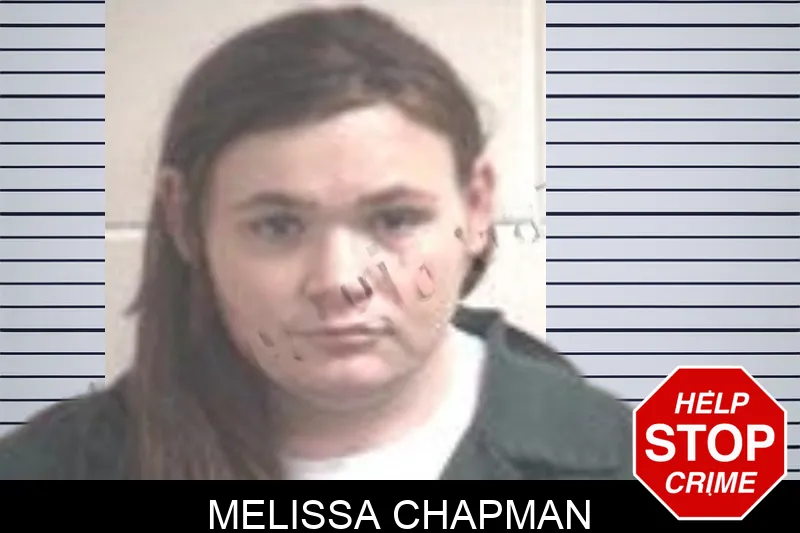 Melissa Chapman mugshot
