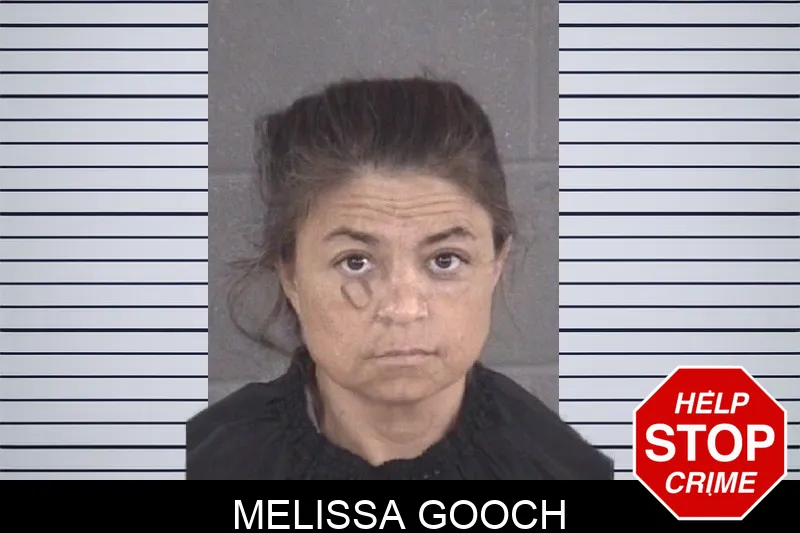 Melissa Gooch mugshot