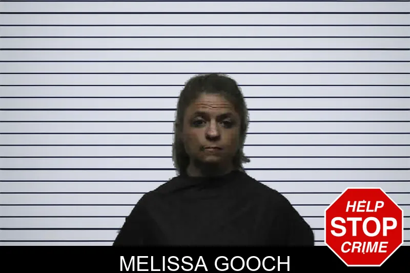 Melissa Gooch mugshot