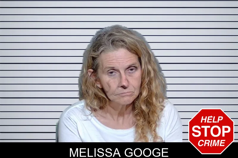 Melissa Googe mugshot