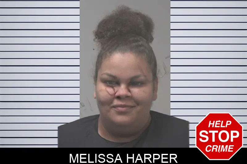 Melissa Harper mugshot