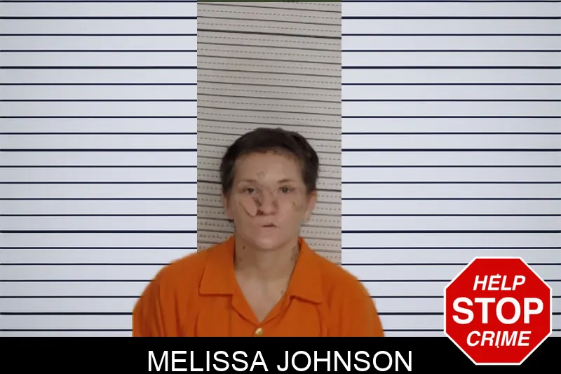 Melissa Johnson mugshot