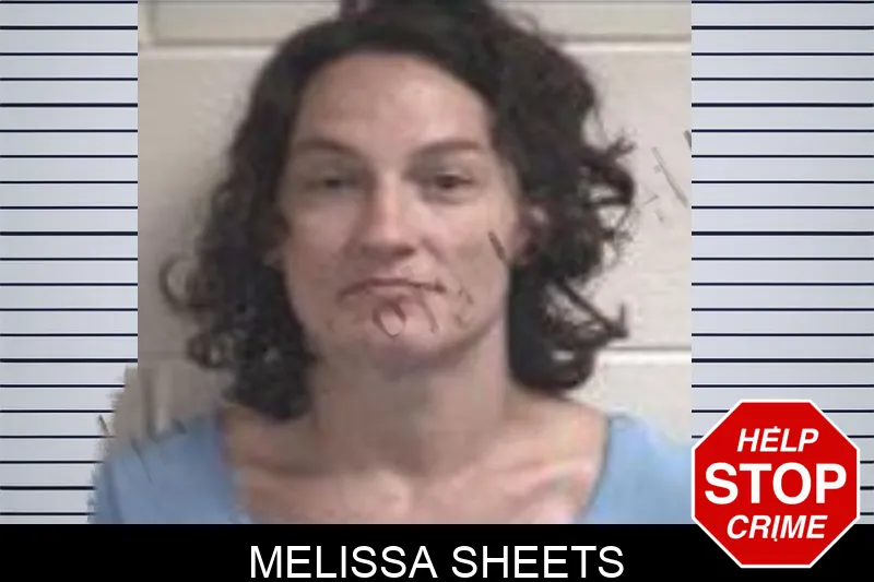 Melissa Sheets mugshot