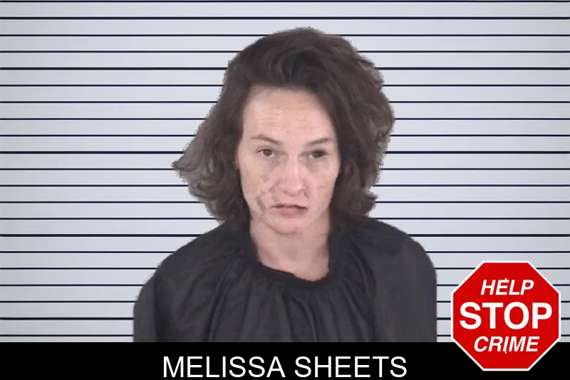Melissa Sheets mugshot