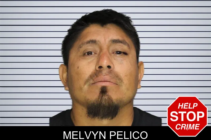 Melvyn Pelico mugshot