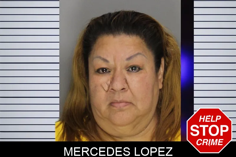 Mercedes Lopez mugshot