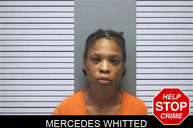 Mercedes Whitted mugshot