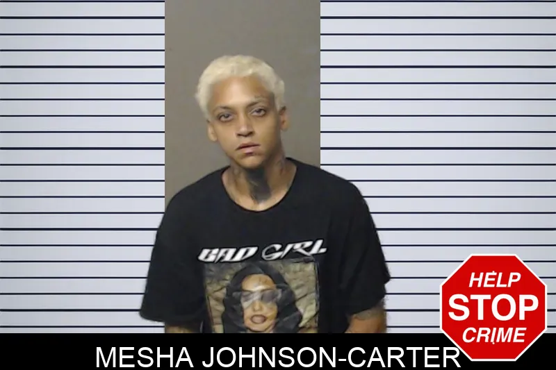 Mesha Johnson-Carter mugshot