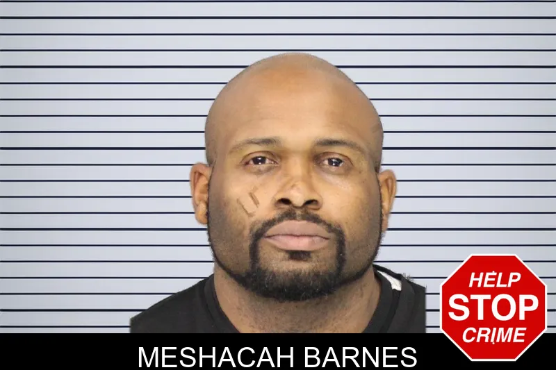 Meshacah Barnes mugshot