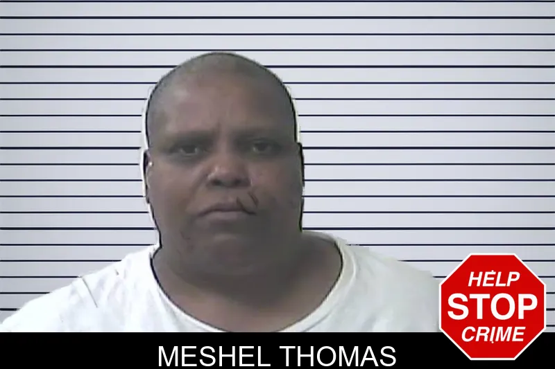 Meshel Thomas mugshot
