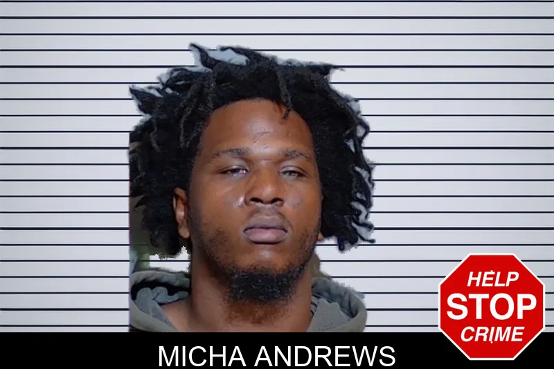 Micha Andrews mugshot