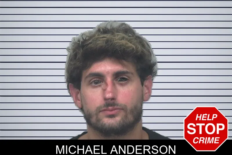 Michael Anderson mugshot