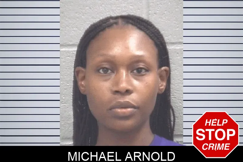 Michael Arnold mugshot