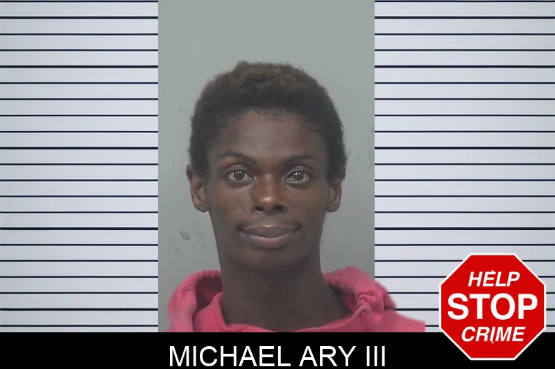 Michael Ary III mugshot