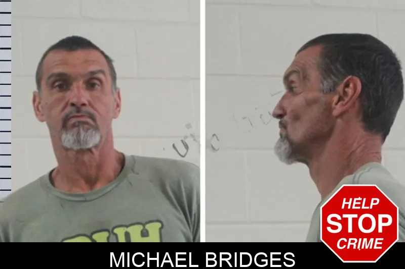 Michael Bridges mugshot