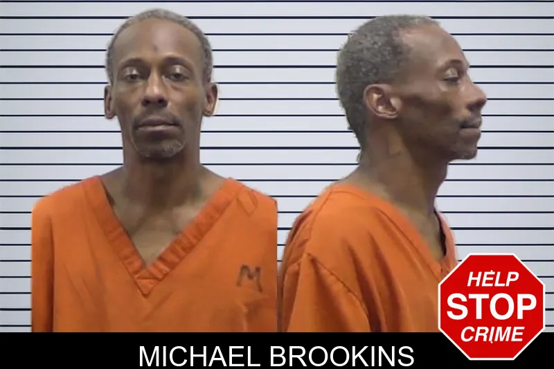Michael Brookins mugshot