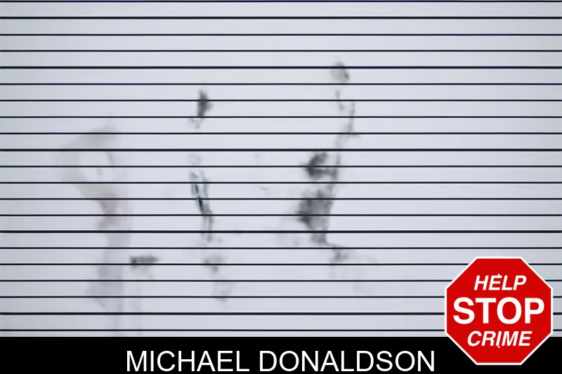 Michael Donaldson mugshot