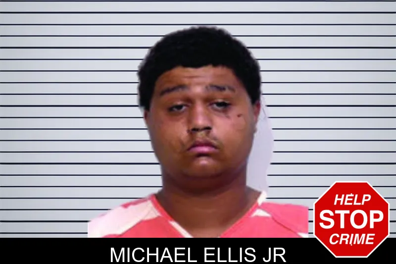 Michael Ellis Jr mugshot – Bartow County , Georgia Michael Ellis Jr mugshot
