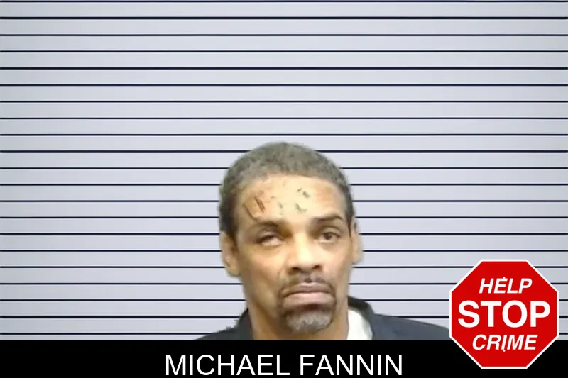Michael Fannin mugshot