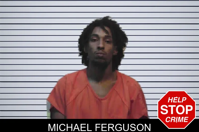Michael Ferguson mugshot