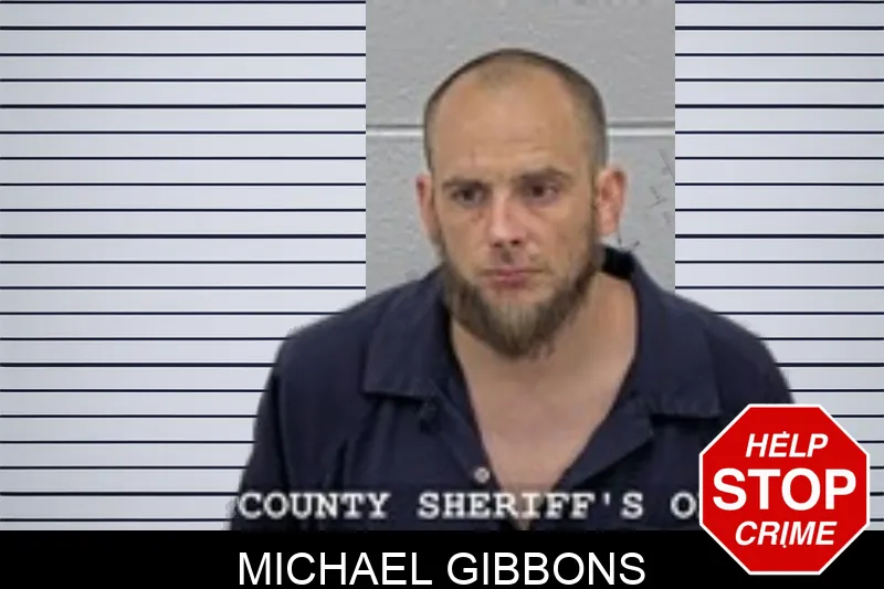 Michael Gibbons mugshot