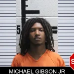 Michael Gibson Jr mugshot