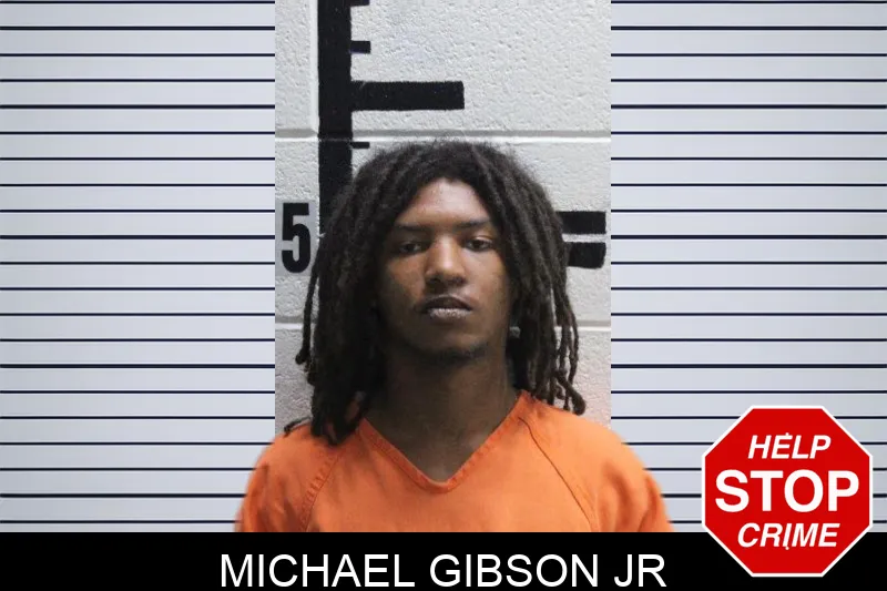 Michael Gibson Jr mugshot