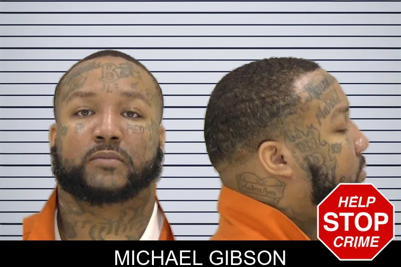 Michael Gibson mugshot