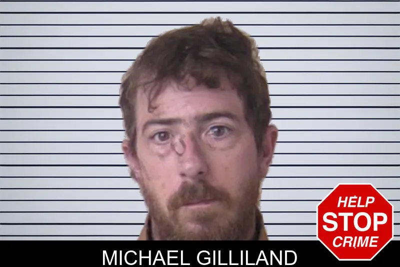 Michael Gilliland mugshot