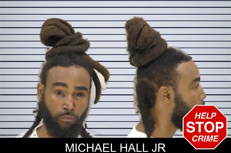 Michael Hall Jr mugshot